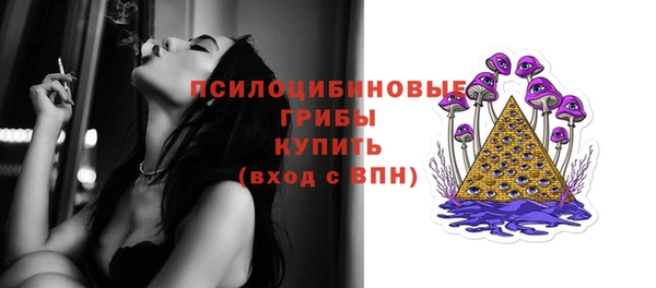 Альфа ПВП Бугульма