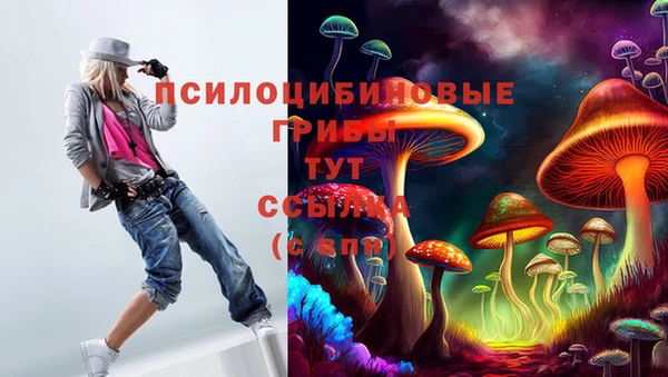 герыч Бронницы